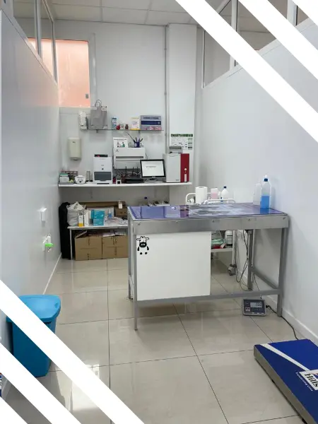 Foto de una sala del centro situado en Telde